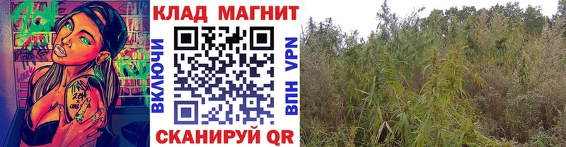 Наркошоп купить Марихуана  Меф мяу мяу  COCAIN  Гашиш  Кулебаки