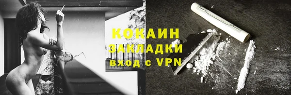 спайс Богданович