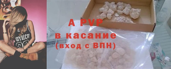 спайс Богданович