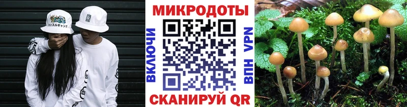 Галлюциногенные грибы Magic Shrooms Кулебаки