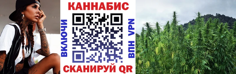 Купить где Кулебаки Бошки Шишки конопля